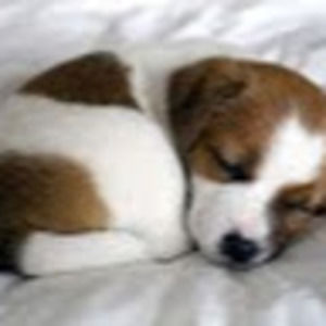 Meet your Posher, Tyanne